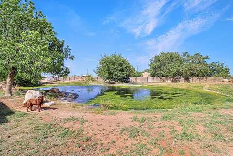 10965 E Emerson St, Gardendale, TX 79758