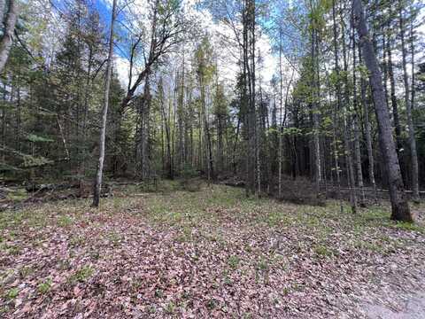 On RIPCO RD, Eagle River, WI 54521