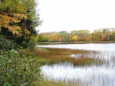 Lot 4 BLACK BEAR LN, Phelps, WI 54554
