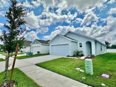 5338 OXFORD GRAY ROAD, WESLEY CHAPEL, FL 33545