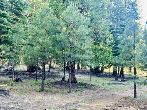 275 Osprey Loop, Wiest, CA 96020