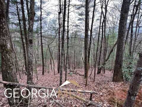 J273 Pine Ridge Road, Ellijay, GA 30536