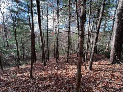 J-273 Pine Ridge Road, Ellijay, GA 30536