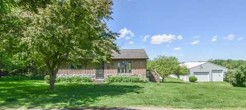 11768 Riker Road, Litchfield, MI 49252