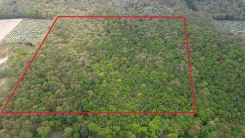 V/L 40a W Pierce Road, Shelby, MI 49455