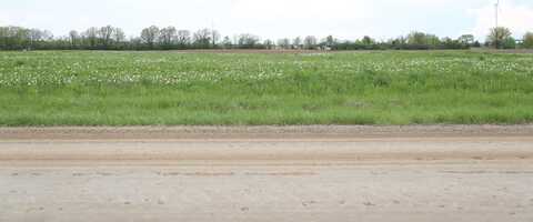 1000 E Beal City Road, Rosebush, MI 48878