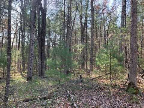 V/L S Merrilleville Road, Baldwin, MI 49304