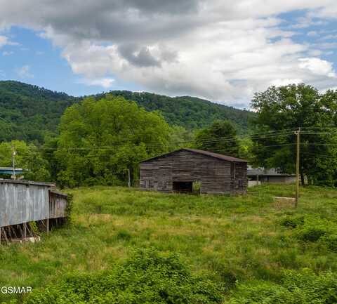 161 Tennessee 107, Del Rio, TN 37727