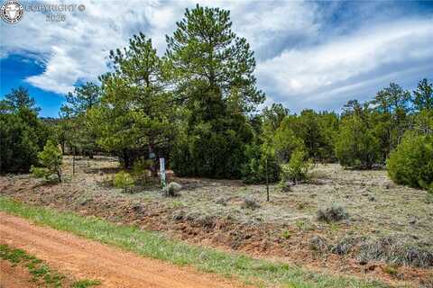 200 Cottonwood Drive, Cotopaxi, CO 81223