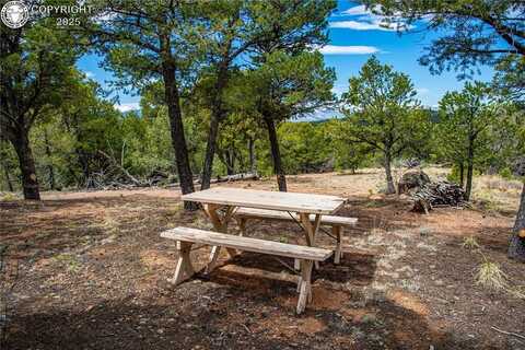 250 Cottonwood Drive, Cotopaxi, CO 81223