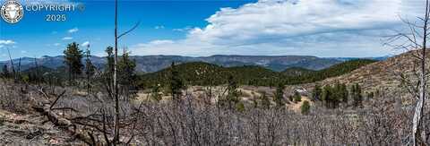 100 Cottonwood Drive, Cotopaxi, CO 81223