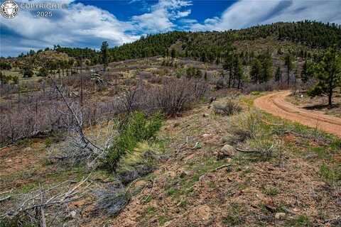 221 Cottonwood Drive, Cotopaxi, CO 81223