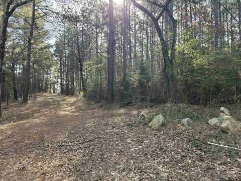 TBD 17 ACRES FM 2274, Troup, TX 75789