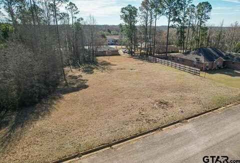 227 Trailhollow Ln, Palestine, TX 75801
