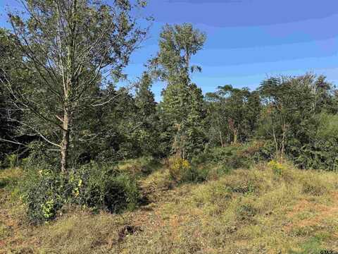 7079 FM 241 S, Alto, TX 75925