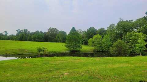 12299 W County Line, Troup, TX 75789