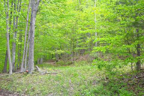 Germany Rd, Renick, WV 24966