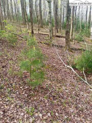 Tbd Fairview Church Road, Lansing, NC 28643