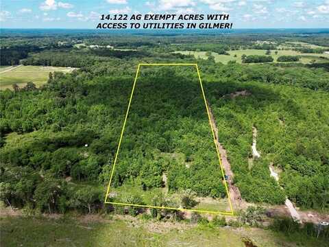 9443 Mistletoe Rd., Gilmer, TX 75644