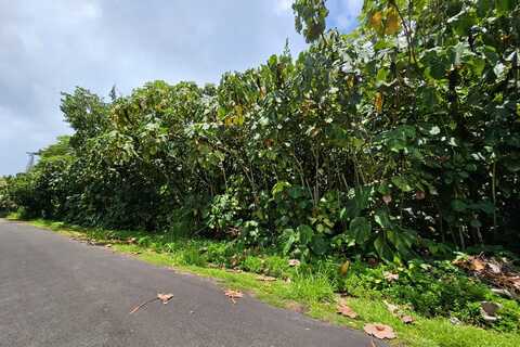 PAPAI ST, PAHOA, HI 96778