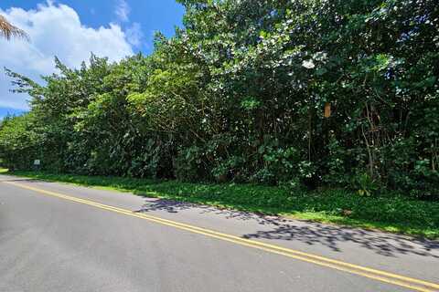 PAPAI ST, PAHOA, HI 96778