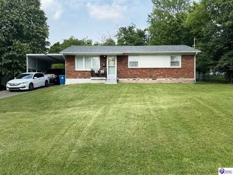 356 Lakeview Drive, Brandenburg, KY 40108