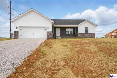 81 Mcgehee Ct, Ekron, KY 40117