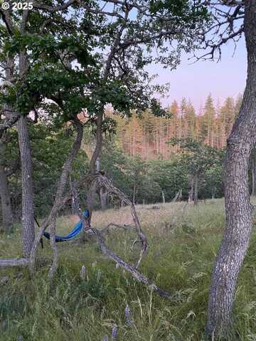31 Columbia Hills LN, Goldendale, WA 98620