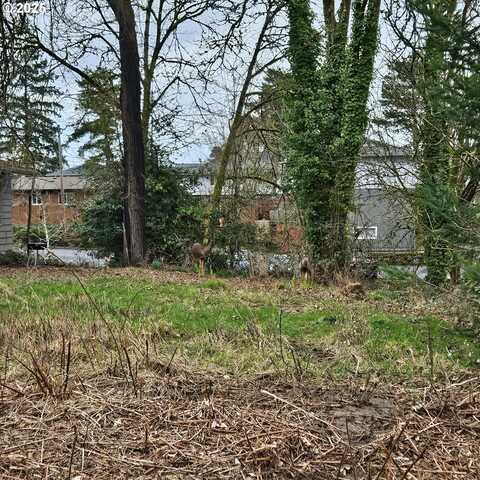 3rd ST, Newberg, OR 97132