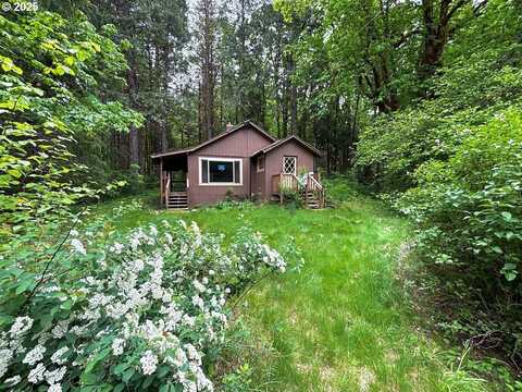 56294 HALL DR, McKenzie Bridge, OR 97413