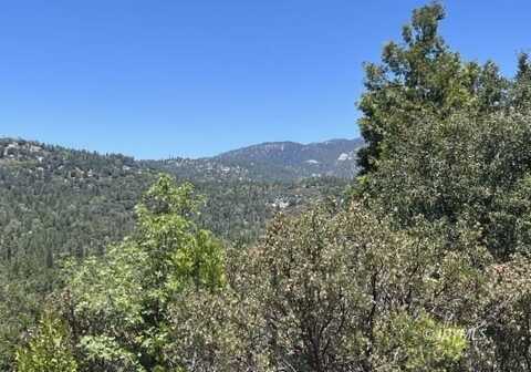 Middle Ridge, Idyllwild, CA 92549