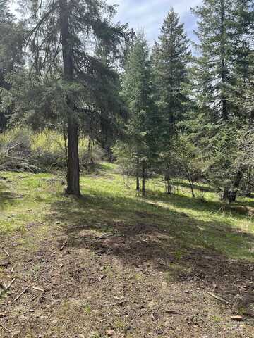 Parcel B Elk City Wagon Road, Stites, ID 83539
