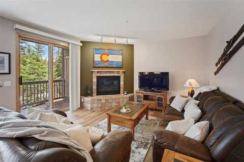 10000 RYAN GULCH ROAD, Silverthorne, CO 80498