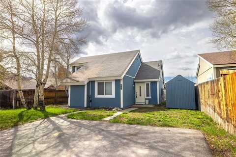 133 WOODCHUCK COURT, Silverthorne, CO 80498