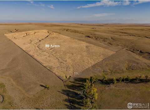0 TBD CR 94, Briggsdale, CO 80611