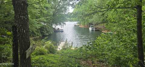157 OVERLOOK Cove, Crossville, TN 38558