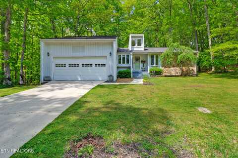111 Juniper Drive, Fairfield Glade, TN 38558