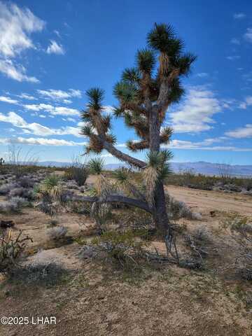 2328 S Tom Mix Rd, Yucca, AZ 86438