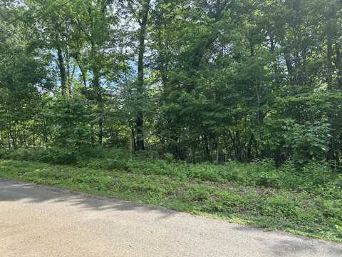 Lot # 8 Clint Williams Road, Rutledge, TN 37861