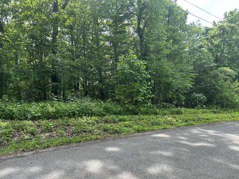 Lot # 9 Clint Williams Road, Rutledge, TN 37861