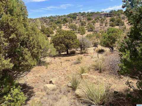 Schiff Trail lot: 368, Silver City, NM 88061