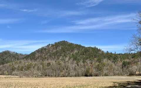 2720 E Hwy 25-70, Del Rio, TN 37727