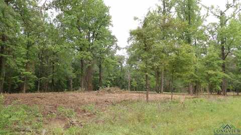 18 Ac SHELLEY RD, Jefferson, TX 75657