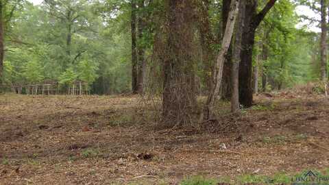 Lot 1 COOPER LAKE RD, Jefferson, TX 75657