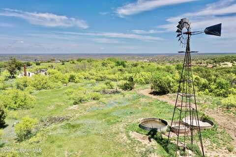 Tract 1 Romeo Rd, Claude, TX 79019