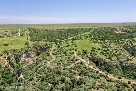 Tract 4 Romeo Rd, Claude, TX 79019