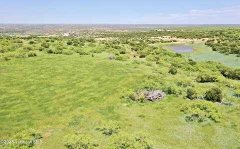 Tract 3 Romeo Rd, Claude, TX 79019