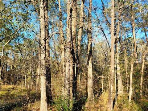 PID 36299 County Road 828, Vidor, TX 77662