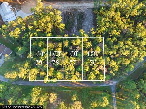 35904 Shoreline Drive, Brookeland, TX 75951
