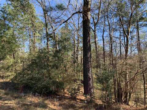 35661-35662 Wallis Point, Brookeland, TX 75931